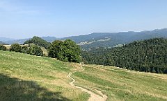 135_iP_190828_IMG_4672