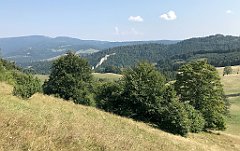 186_iP_190828_IMG_4676