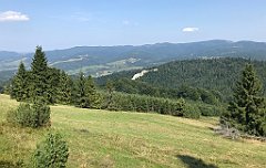 222_iP_190828_IMG_4684