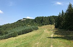 243_iP_190828_IMG_4689