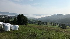 020_iP_190829_IMG_4696