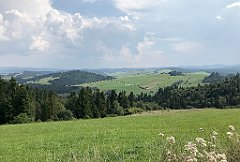 221_iP_190829_IMG_4719