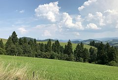 222_iP_190829_IMG_4720