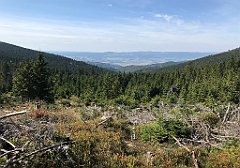 247_iP_190923_IMG_4897