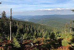 426_iP_190923_IMG_4927