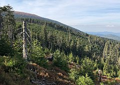 427_iP_190923_IMG_4929