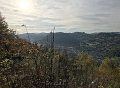 168_iP_191012_IMG_5134