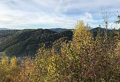 170_iP_191012_IMG_5136