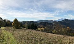 265_iP_191012_IMG_5161