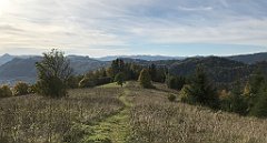 274_iP_191012_IMG_5164