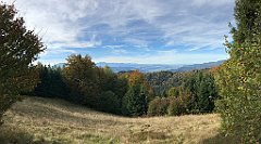 337_iP_191012_IMG_5186