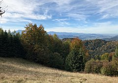 338_iP_191012_IMG_5187