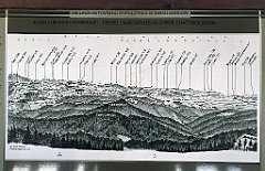 606_iP_191012_IMG_5229