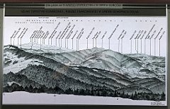 607_iP_191012_IMG_5235