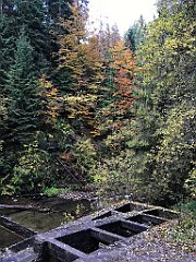 181_iP_191015_IMG_5341