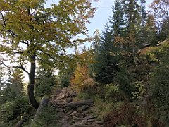 413_iP_191015_IMG_5366