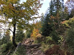 414_iP_191015_IMG_5365