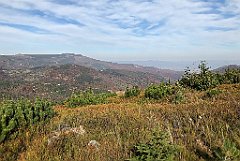 557_iP_191015_IMG_5417