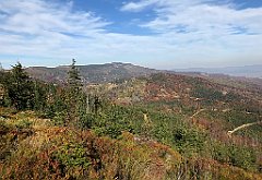 596_iP_191015_IMG_5424