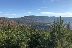 661_iP_191015_IMG_5467