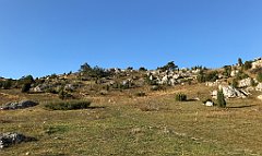 598_iP_191027_IMG_5630