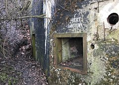 117_iP_200102_IMG_5671