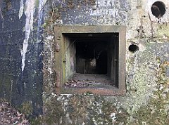 120_iP_200102_IMG_5674