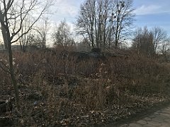 264_iP_200102_IMG_5708