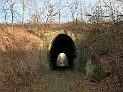 494_iP_200102_IMG_5774