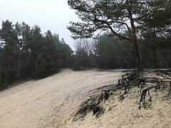 034_iP_200114_IMG_5867