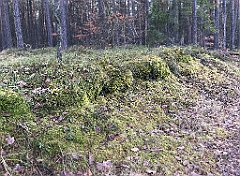331_iP_200114_IMG_5920
