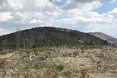 159_iP_200428_IMG_0052