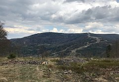 281_iP_200428_IMG_0070