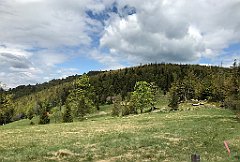 300_iP_200521_IMG_0122