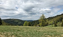 301_iP_200521_IMG_0123