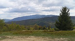 316_p20_IMG_20200521_120703