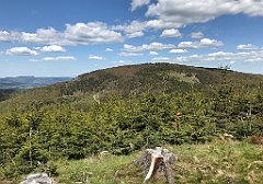 460_iP_200521_IMG_0139