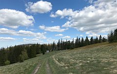 541_iP_200521_IMG_0147