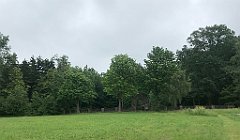 177_iP_20200615_IMG_1114