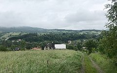 228_iP_20200615_IMG_1119