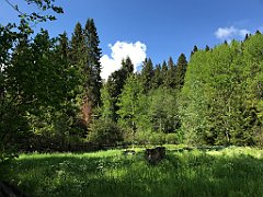 385_iP_200617_IMG_1175