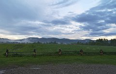 476_p20_IMG_20200617_192554