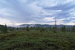 490_p20_IMG_20200617_193001