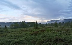 491_p20_IMG_20200617_193004