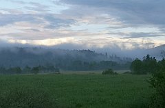 523_p20_IMG_20200617_194102