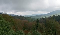 009_p20_IMG_20200618_133143