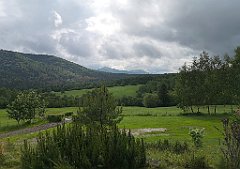 006_p20_IMG_20200619_084611