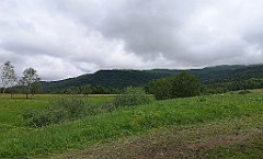 027_p20_IMG_20200619_100120