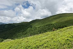 103_iP_200619_IMG_1227