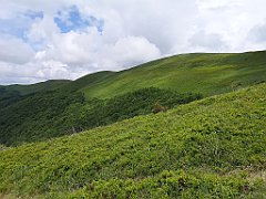 111_p20_IMG_20200619_113334